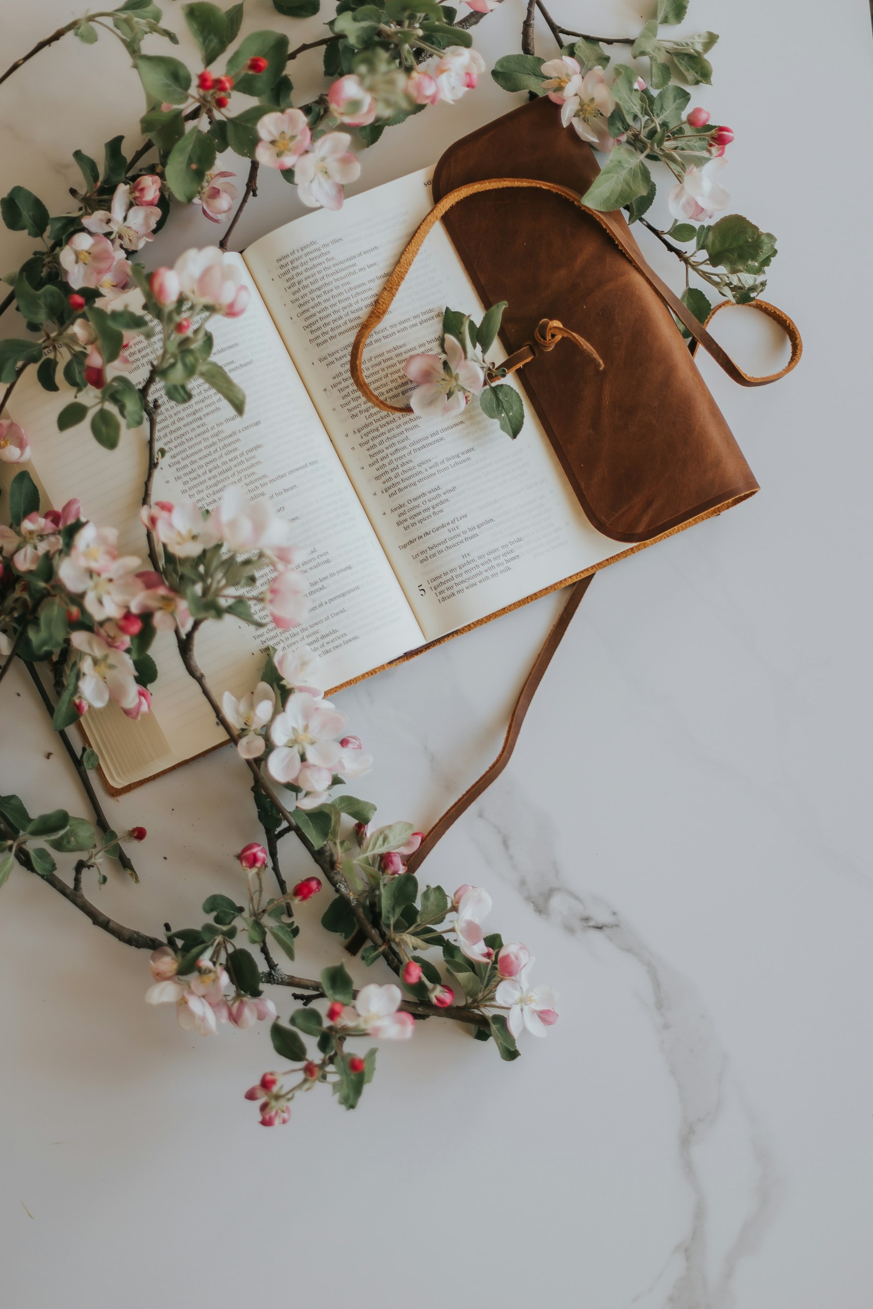 An open book surrounded by apple blossoms and a leather journal
